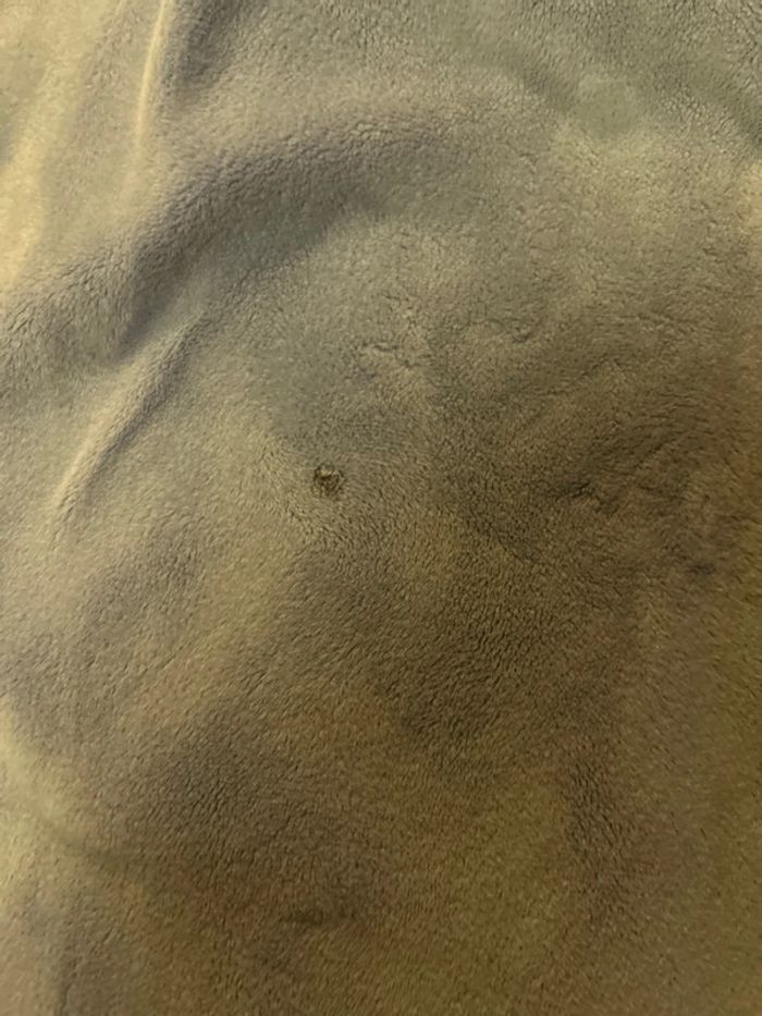 Ensemble converse 6 ans - photo numéro 11