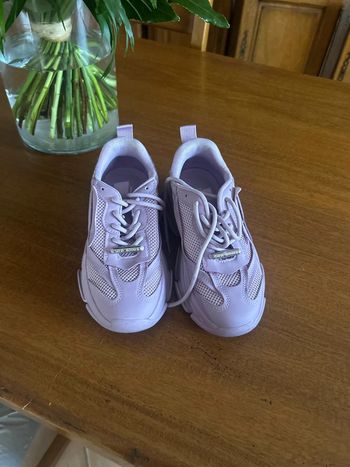 Baskets parme Steve Madden
