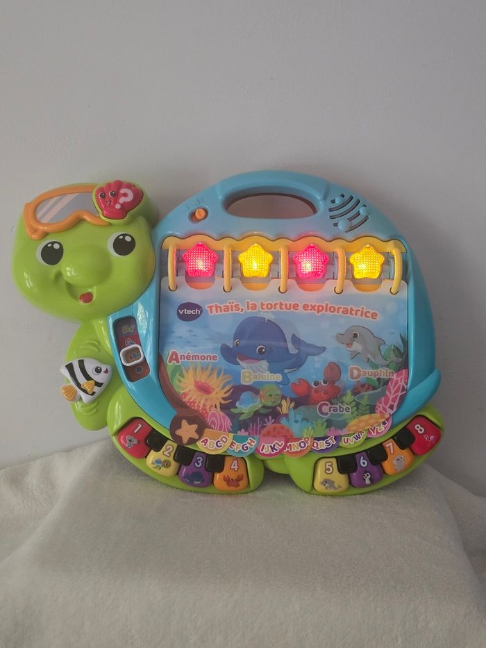 Thaïs la tortue exploratrice. - photo numéro 3