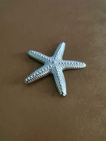 Broche étoile de mer argenté
