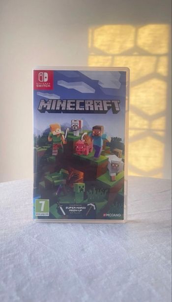 Minecraft Nintendo switch