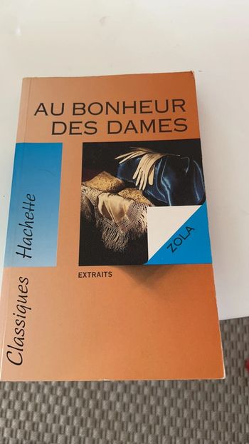 Livre au bonheur des dames