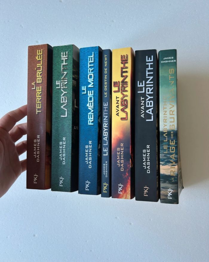 Saga le labyrinthe - photo numéro 3