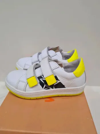 Basket Walkey 25