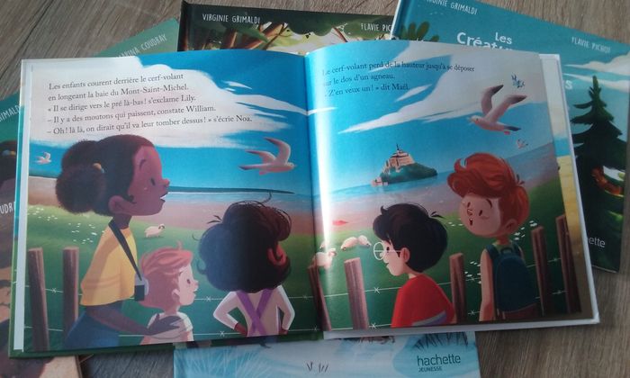 Livres "Merveilles de France" Virginie Grimaldi - photo numéro 3