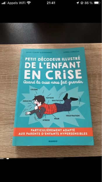 Petit décodeur illustré de l’enfant en crise