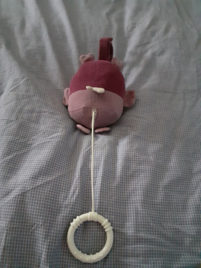 Chouette musical - photo numéro 3