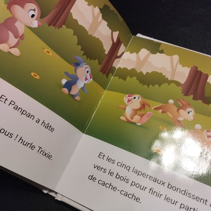 Livre enfant Disney mes premières histoires panpan - photo numéro 4