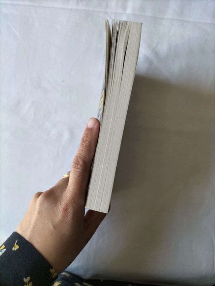 L'inconnu de Peyrolles - photo numéro 4