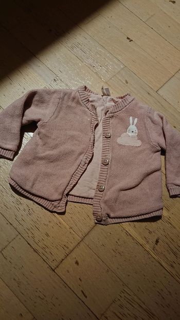 Gilet rose motif lapin