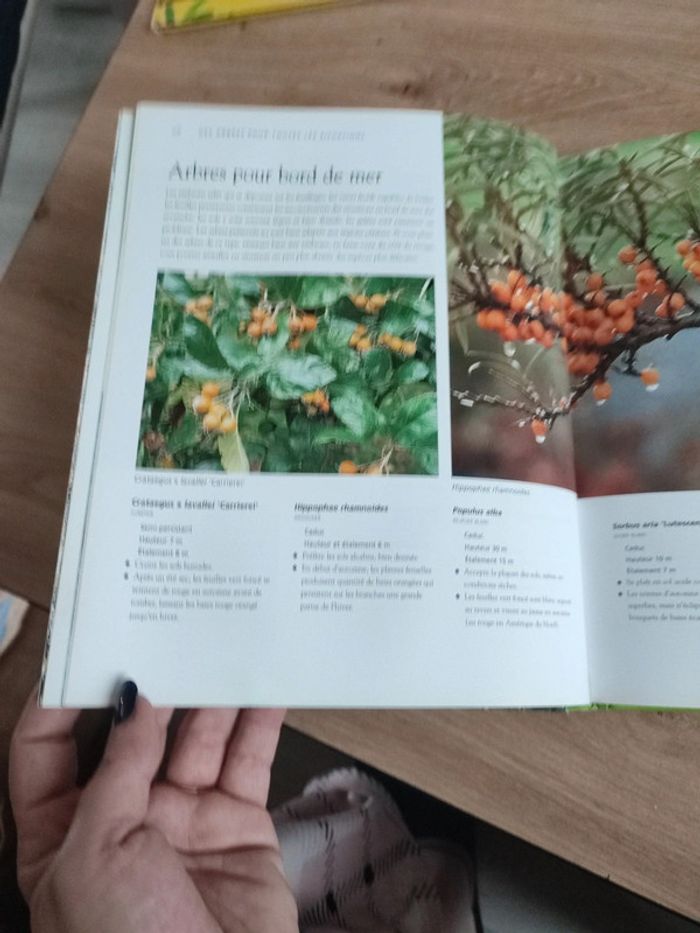 Livre sur les arbres du jardin - photo numéro 5