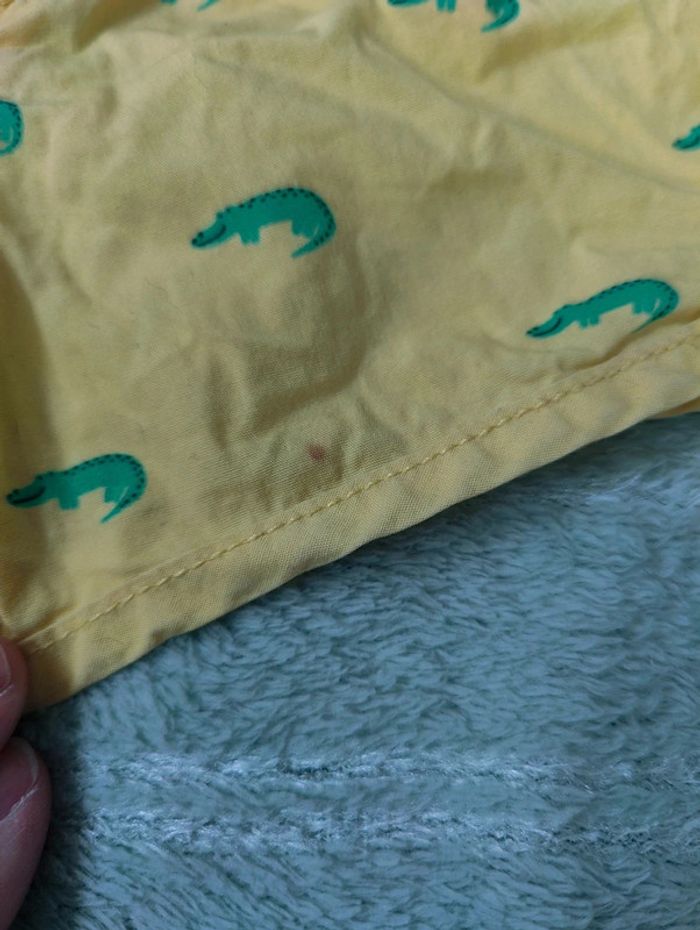 Short crocodile - photo numéro 2