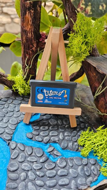 Super jeu Nintendo gameboy advance titeuf