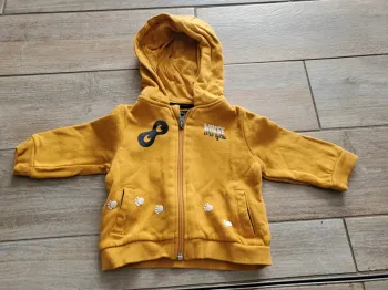 Veste à capuche 9 mois