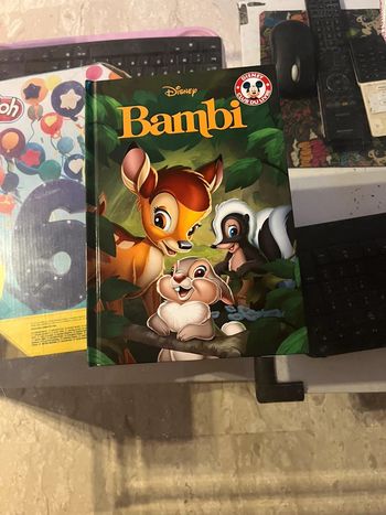 Livre Disney
