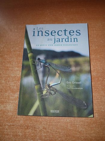 Les insectes au jardin