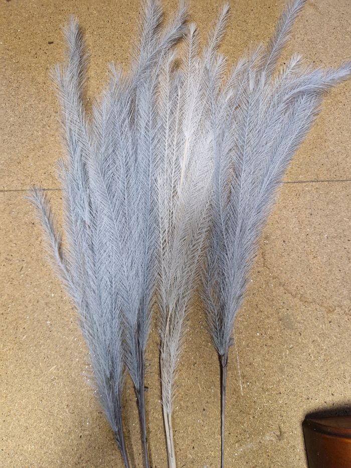Fleur de pampas - photo numéro 5