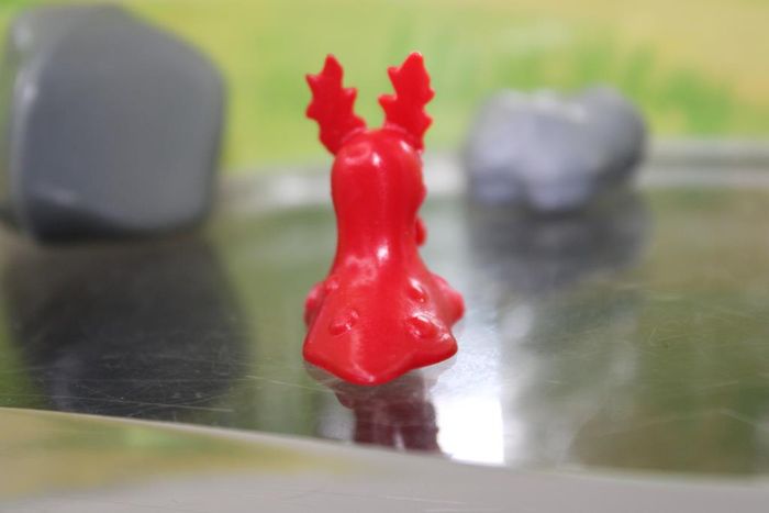 Pokemon Limagma rouge - photo numéro 6