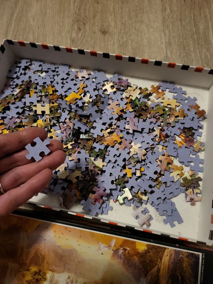 Puzzle - photo numéro 3