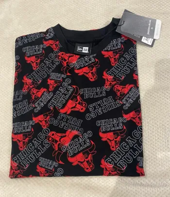 Teeshirt Chicago Bulls Homme