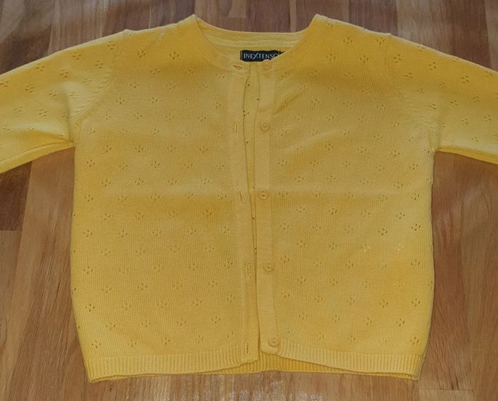 Gilet jaune In Extenso 86 cm - photo numéro 2