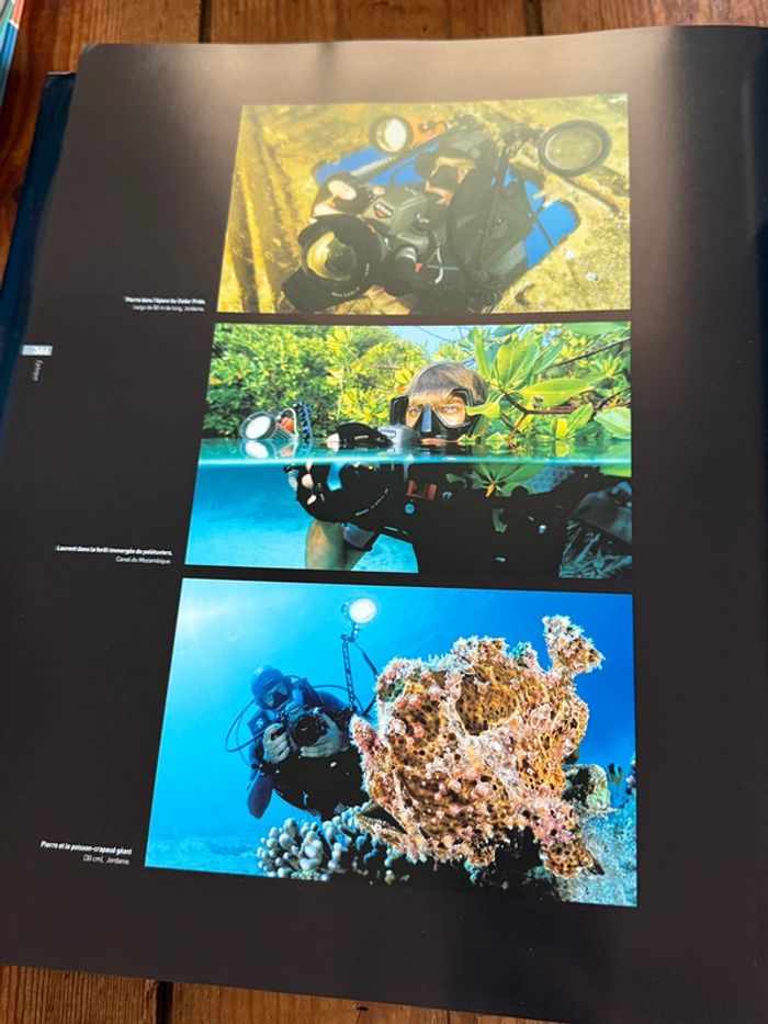 Grand beau livre Planète Mers Nicolas Hulot Laurent Ballesta Pierre Descamp Michel Lafon - photo numéro 13