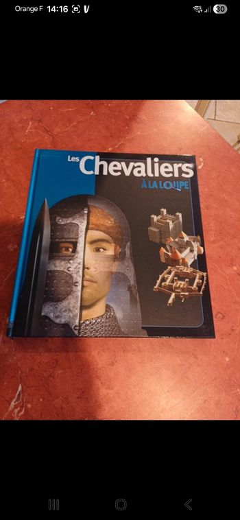 Les chevaliers à la loupe