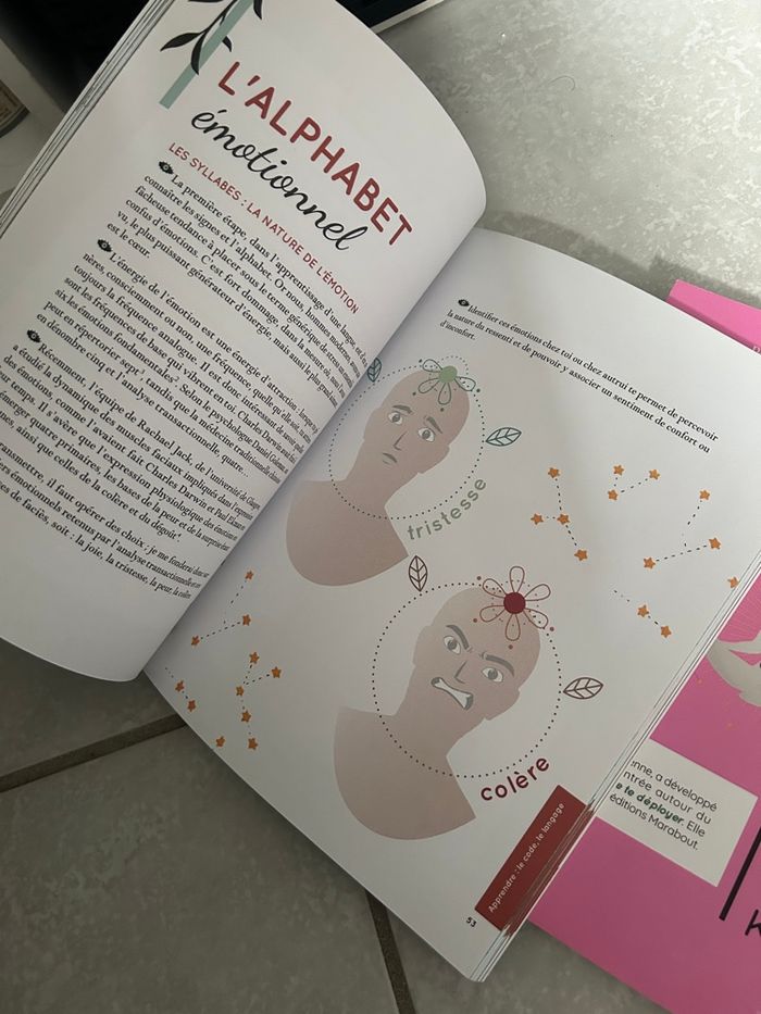 Hack ton mental et hack tes émotions - photo numéro 4