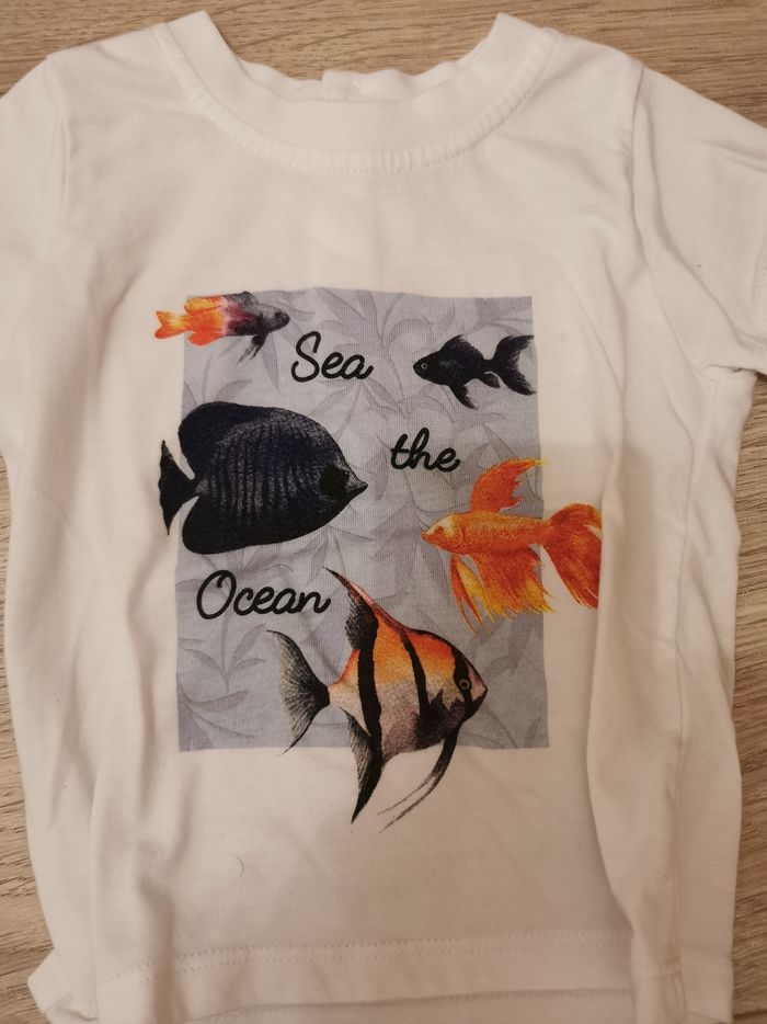 Tee shirt - photo numéro 5
