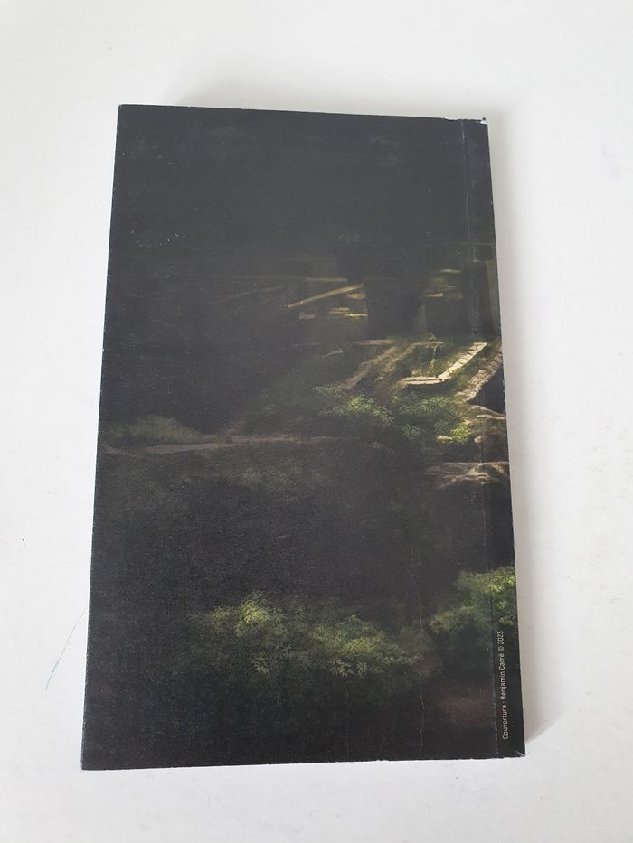 Cahier de notes Le Labyrinthe - photo numéro 2