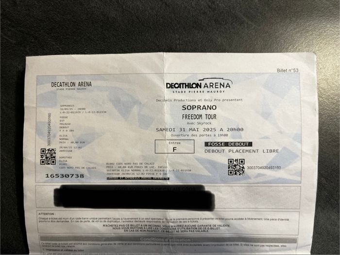 Poster soprano freedom tour - photo numéro 10