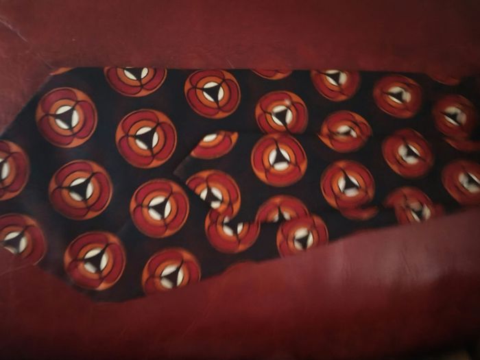 Cravate est très originale - photo numéro 3