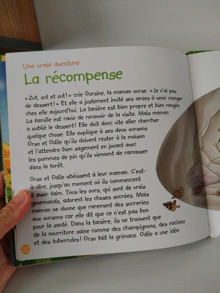 Altaya Les animaux de la forêt n°2 L'ours brun - photo numéro 15