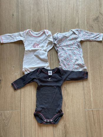 Lot 3 bodies