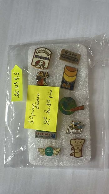 lot n °25  =  10 pins divers.