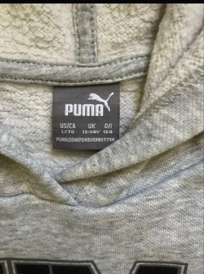 Pull a capuche puma - photo numéro 2