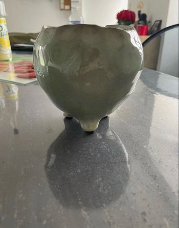 Pot de fleurs