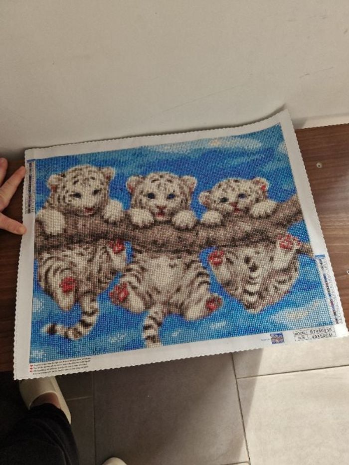 Tableau en Diamants de résine à encadrer