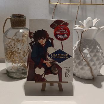 Manga diamond in the rough coffret collector 3