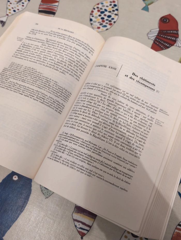 Philosophie politique Léviathan - photo numéro 6