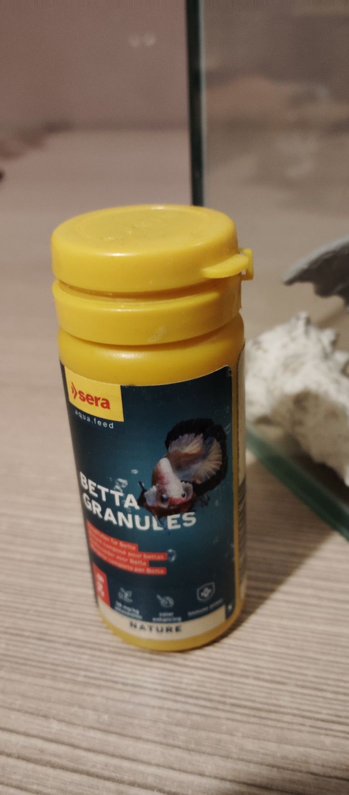 Petit aquarium - photo numéro 3