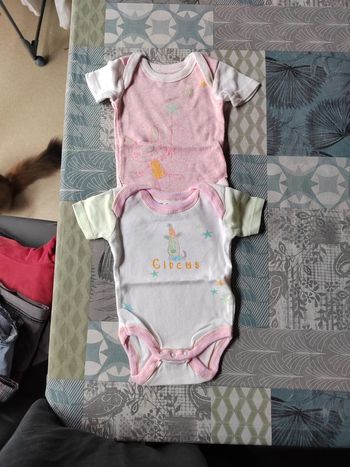 Lot de 2 bodys manches courtes fille Baby Tex 3 mois