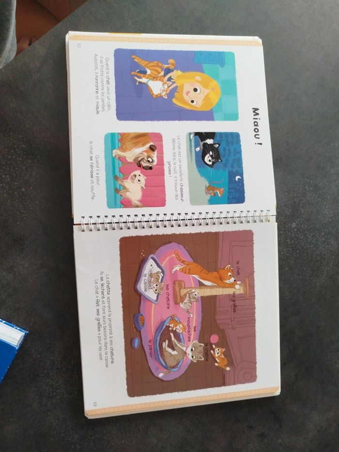 Ma toute première baby encyclopédie - photo numéro 3