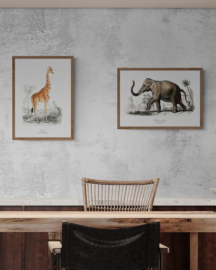 Affiche vintage Girafe format A4 - photo numéro 4