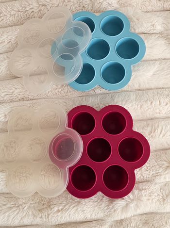 Lot de 2 fleurs 🌸 multiportions Béaba 60ml