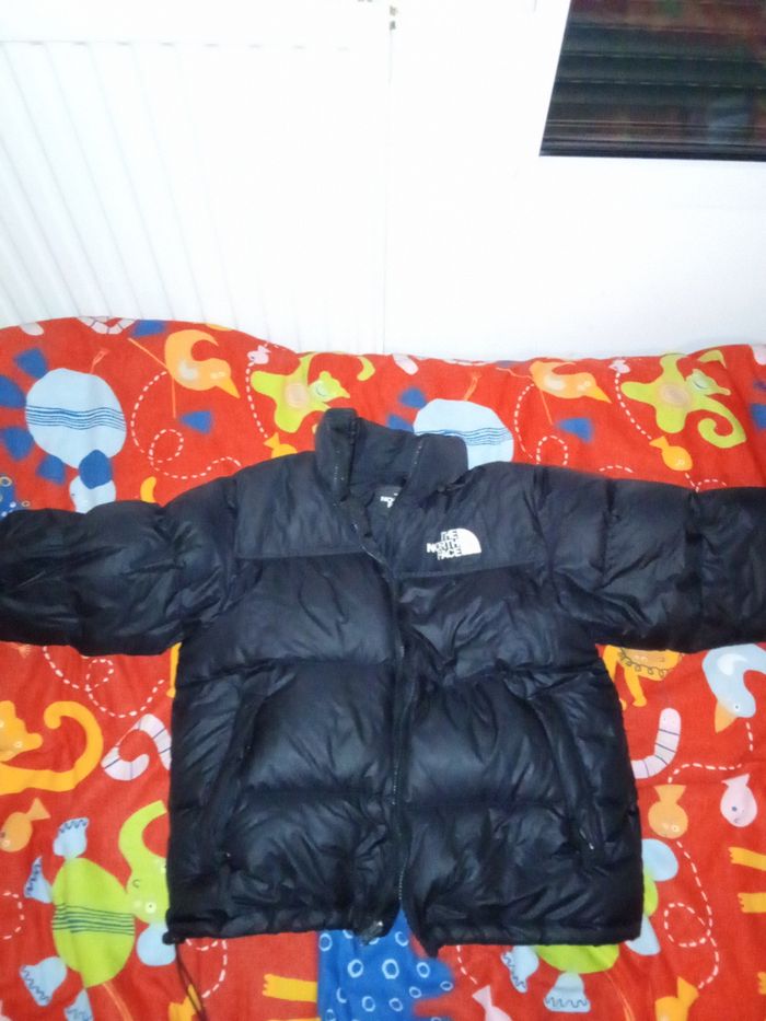 Doudoune the North face - photo numéro 2
