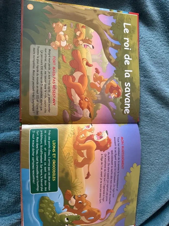 2 livres enfant - photo numéro 3