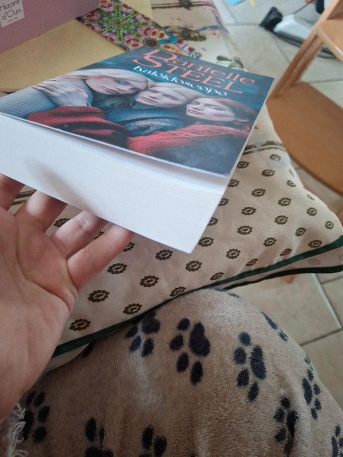 Kaleidoscop Danielle steel - photo numéro 3