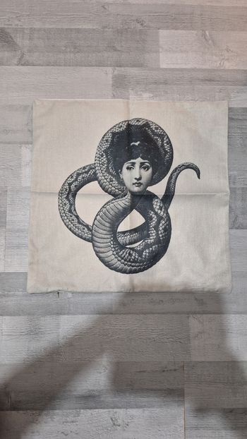 Housse de coussin 45x45 cms neuf