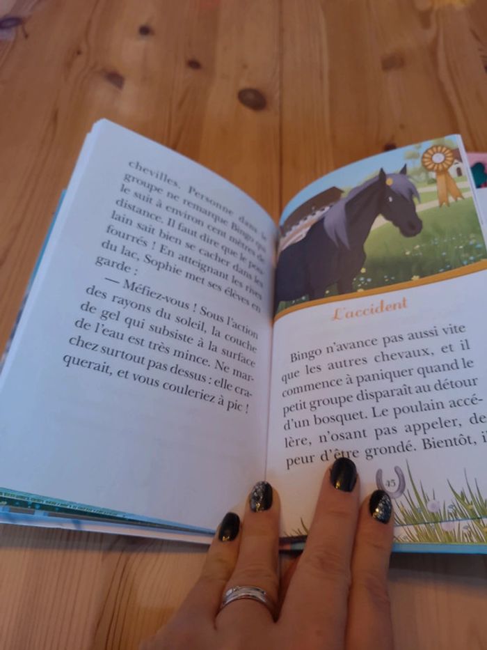Livre mes amis les chevaux la surprise de l hiver - photo numéro 3